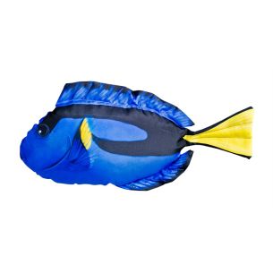 WSB Blue Tang Pillow 50cm  | Pillows